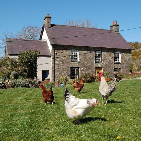 Вілла Nantgwynfaen Organic Farm Wales Llandysul Екстер'єр фото