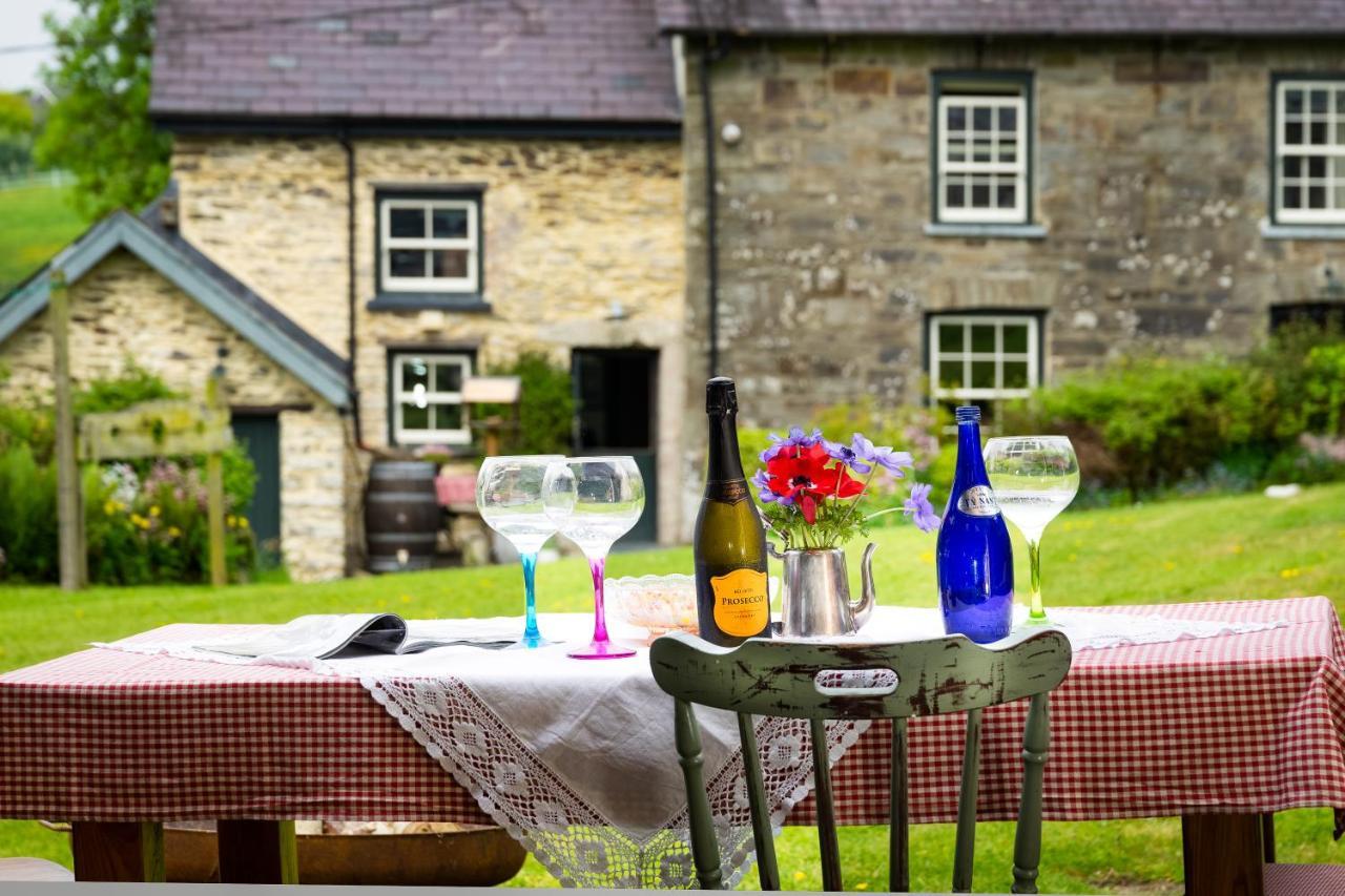 Вілла Nantgwynfaen Organic Farm Wales Llandysul Екстер'єр фото