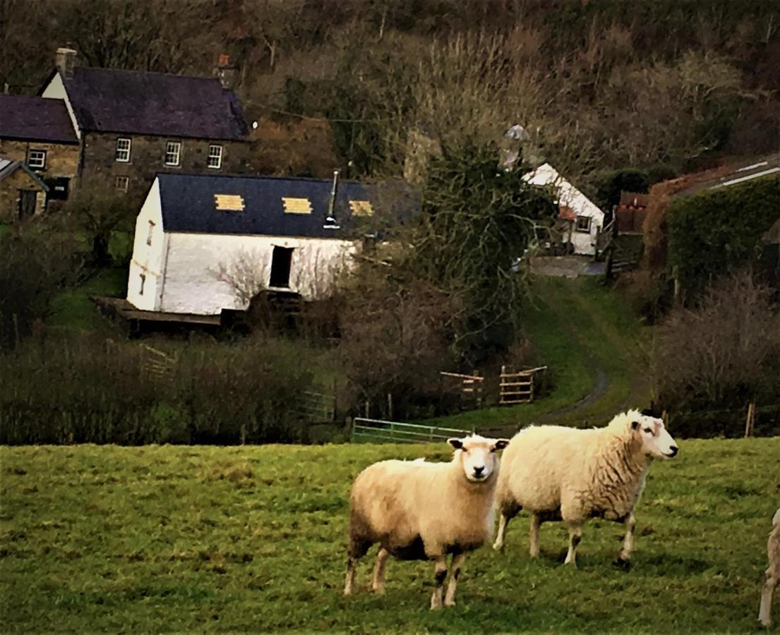 Вілла Nantgwynfaen Organic Farm Wales Llandysul Екстер'єр фото