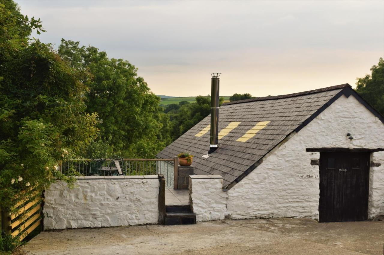 Вілла Nantgwynfaen Organic Farm Wales Llandysul Екстер'єр фото
