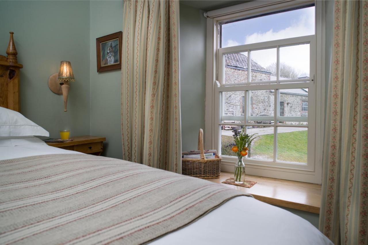 Вілла Nantgwynfaen Organic Farm Wales Llandysul Екстер'єр фото