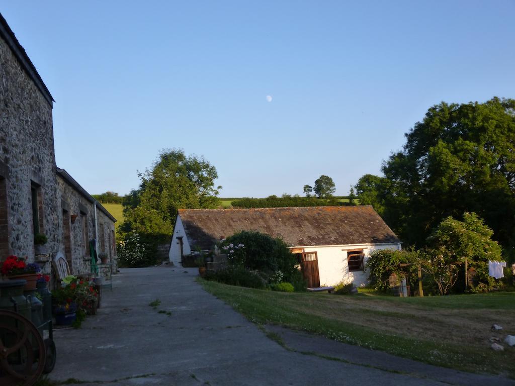 Вілла Nantgwynfaen Organic Farm Wales Llandysul Екстер'єр фото