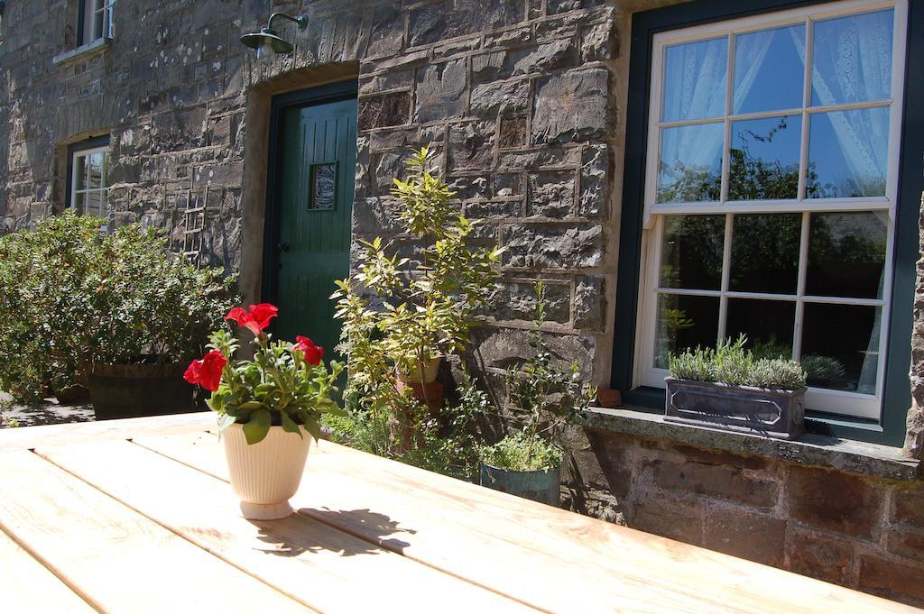 Вілла Nantgwynfaen Organic Farm Wales Llandysul Екстер'єр фото